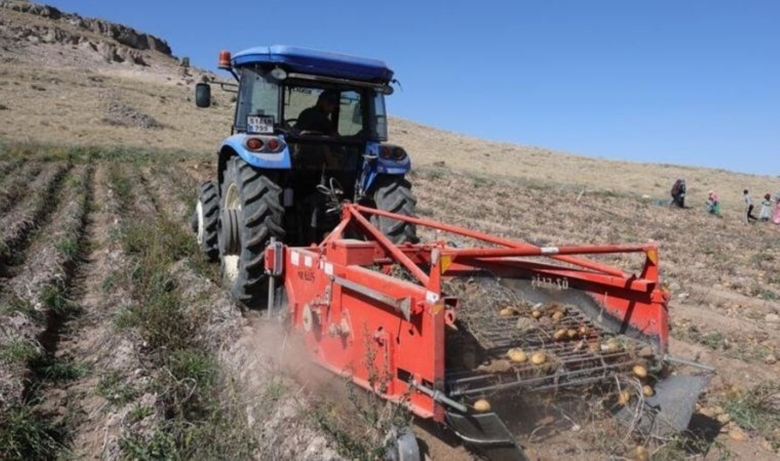 Aksaray’da hasat zamanı: Tarlada 2, tezgahta 15 TL