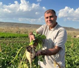 Akyaka’da hasat başladı: Onlarca TIR ile taşınıyor…