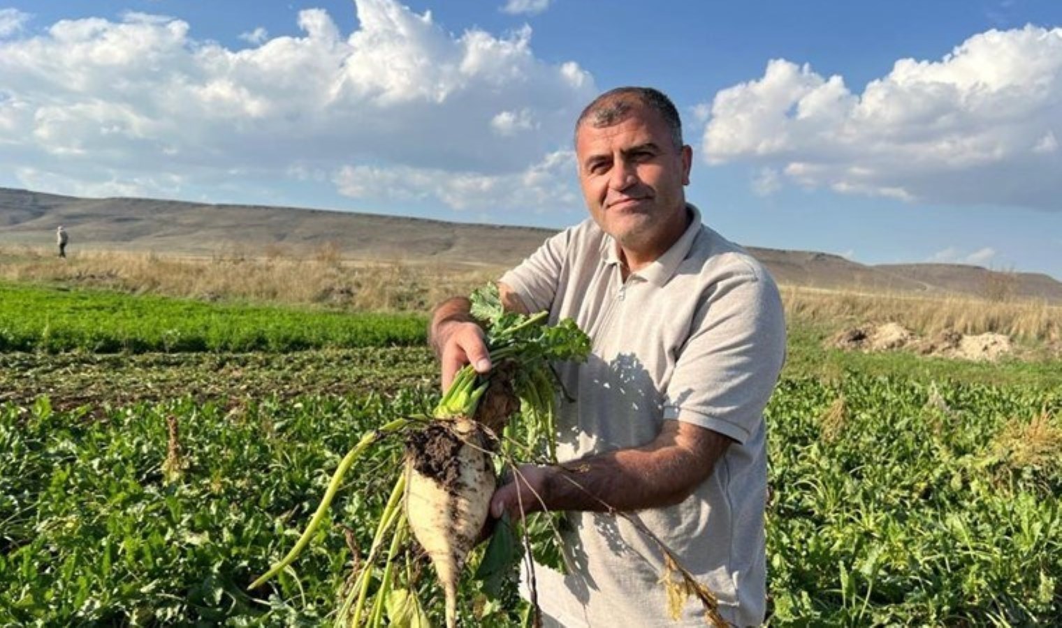 Akyaka’da hasat başladı: Onlarca TIR ile taşınıyor…