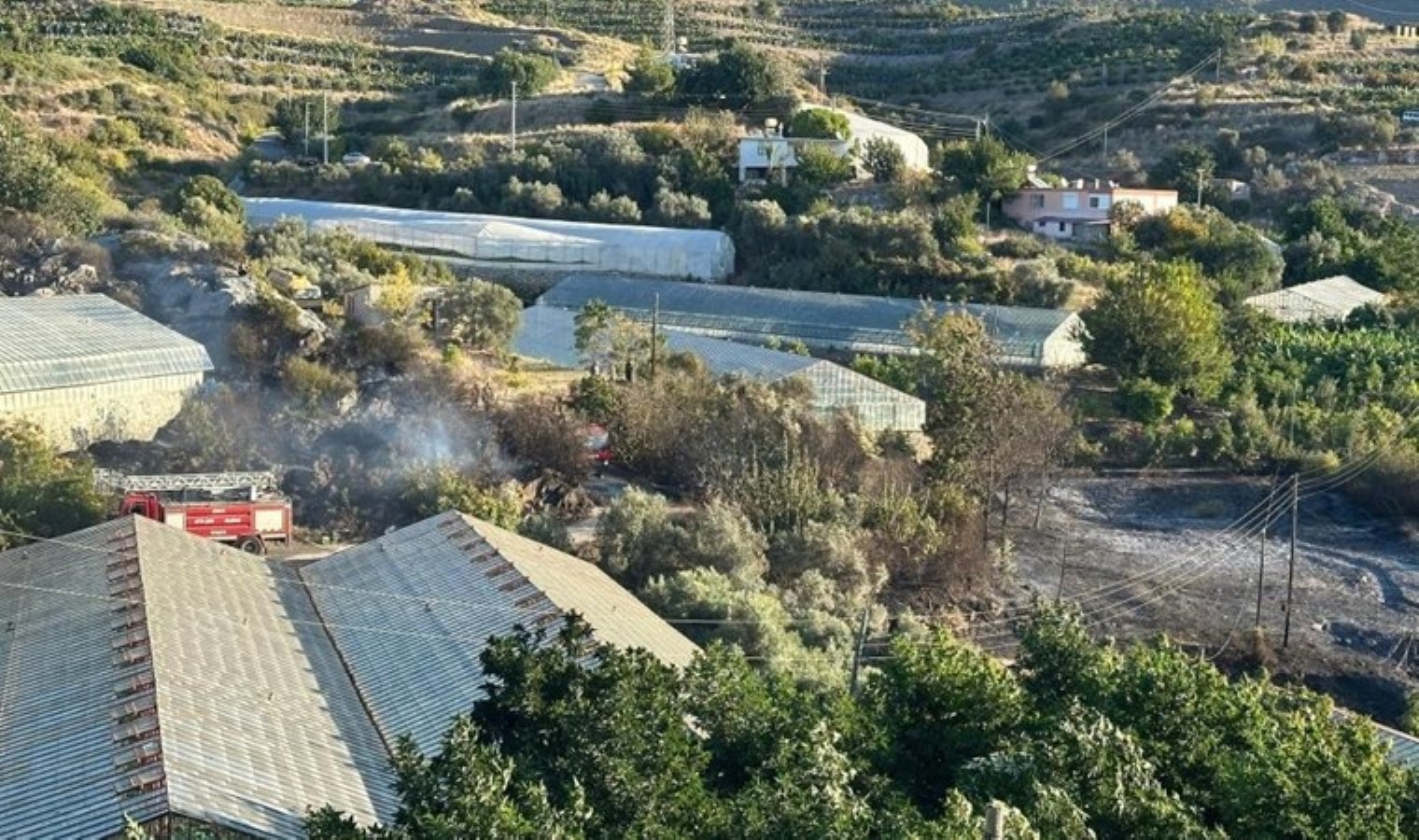 Alanya’da avokado bahçesinde yangın: 60 ağaç kül oldu