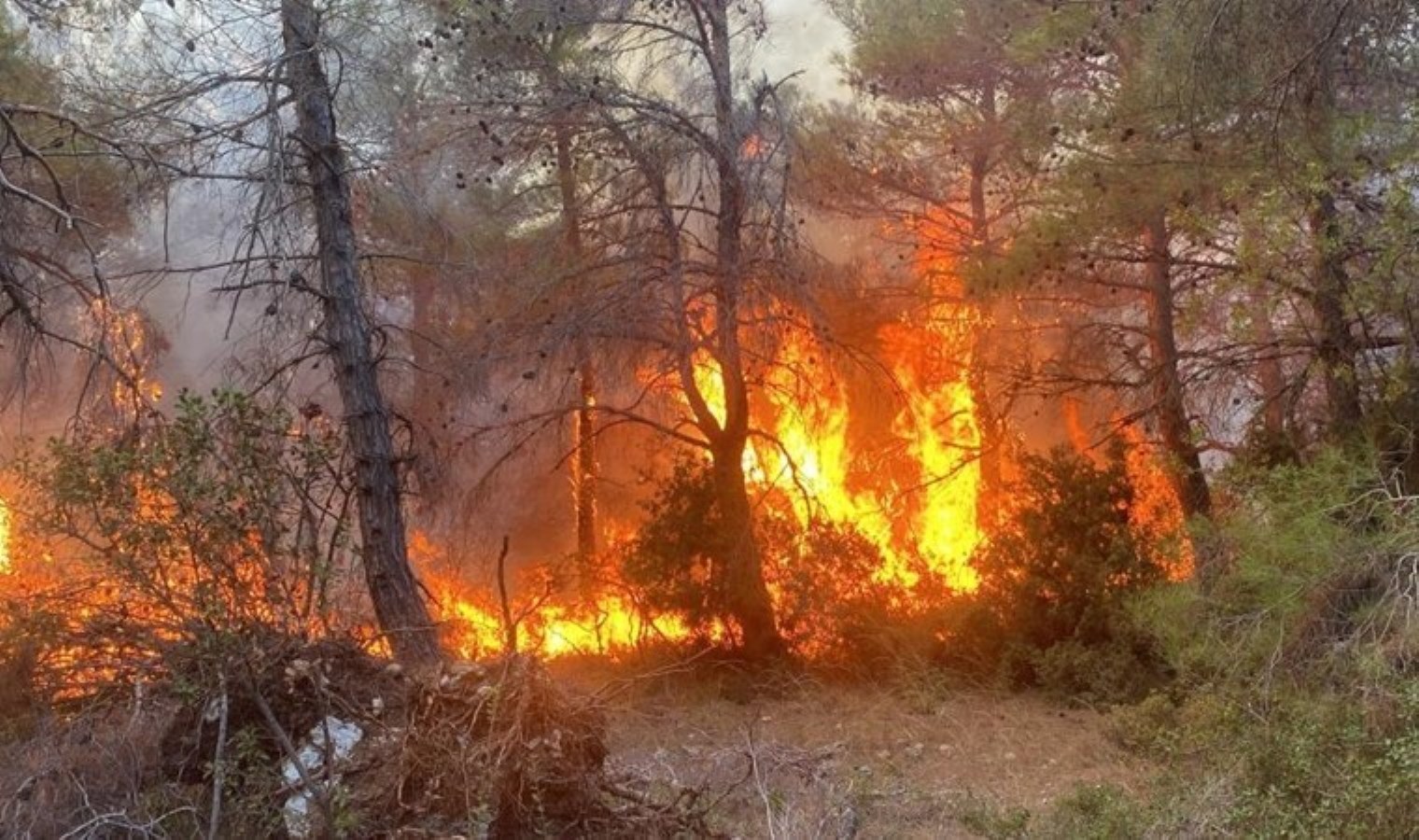 Çanakkale’de orman yangını… Ekipler müdahale ediyor