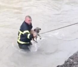 Dereye düşen köpeği boğulmaktan itfaiye kurtardı