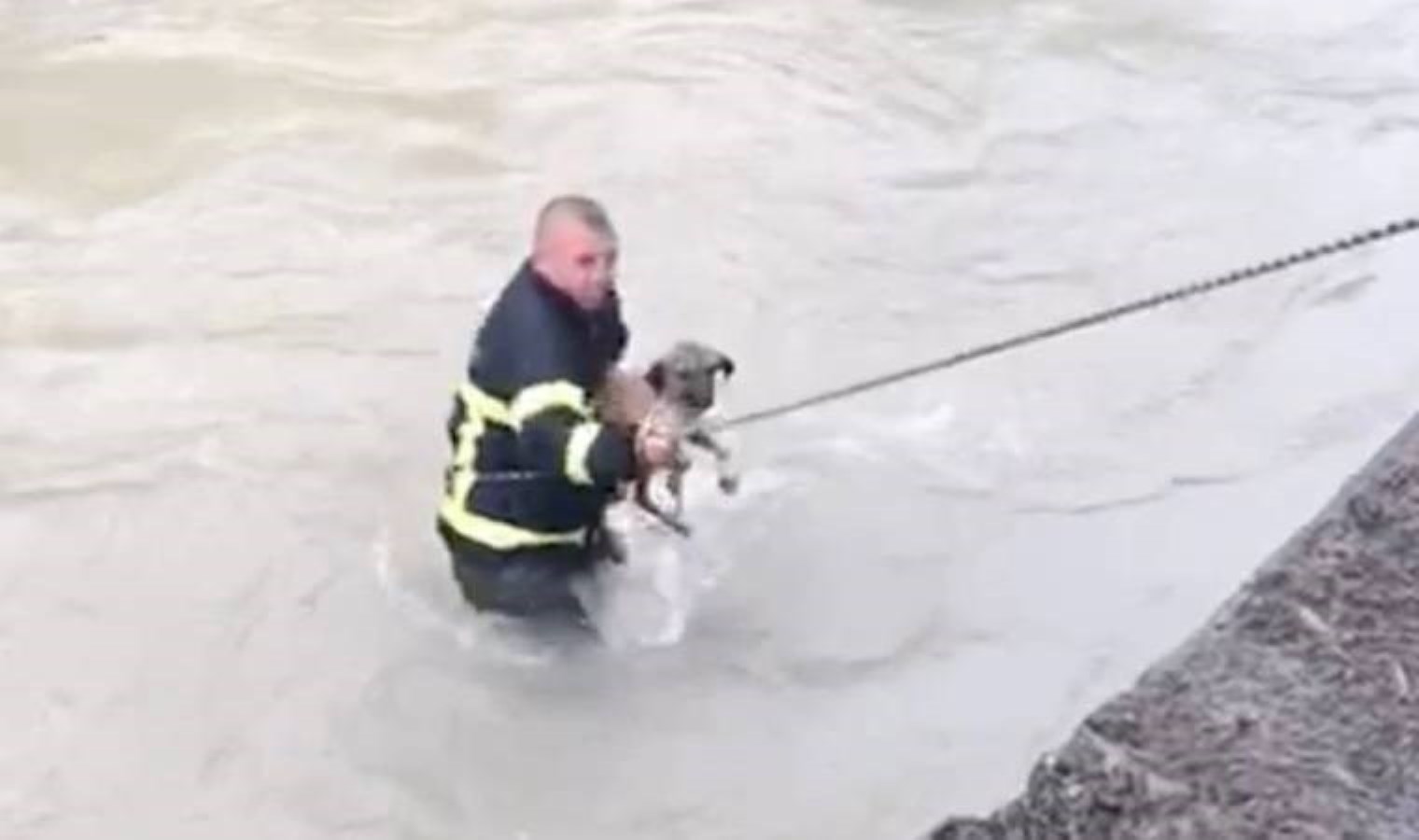 Dereye düşen köpeği boğulmaktan itfaiye kurtardı