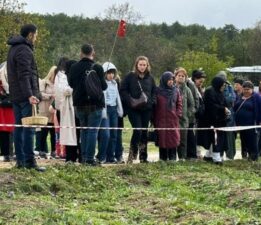 Dünyanın en pahalı baharatını görmek için tarlalara akın ediyorlar