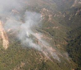 Hatay Amanoslar’daki orman yangını 28 saat sonra kontrol altında