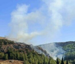 Hatay’da orman yangını