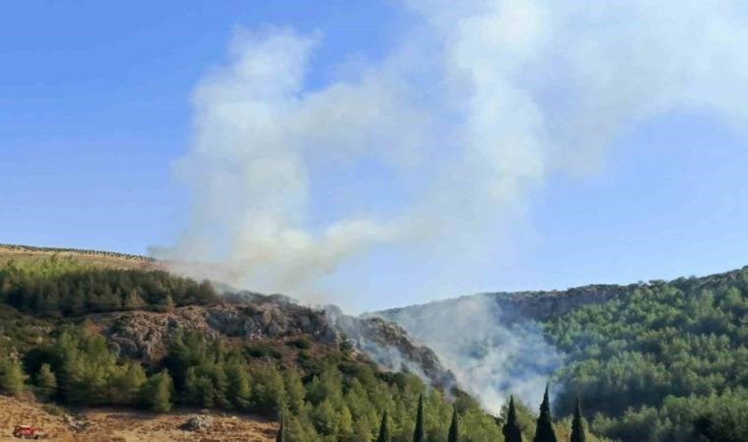 Hatay’da orman yangını