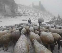 Kar bastırınca yayladan mezraya 3 günde ulaştılar