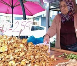 Ordu’nun yüksek rakımlı bölgelerinde yetişiyor! Fiyatı 250 liraya düştü…