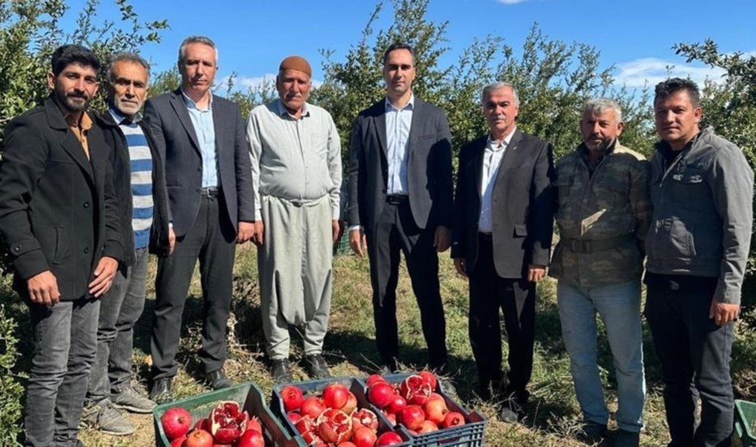 Samsat’ta hasat başladı: 15 bin ton rekolte bekleniyor…