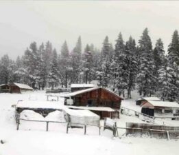 Türkeli’nin yaylalarında mahsur kalanlar kurtarıldı