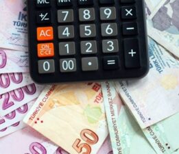 Banka hesaplarından nüfus kayıtlarına kadar herşey incelenecek