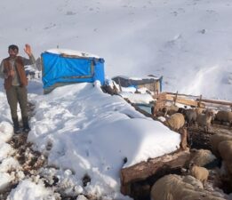 Kar yağışı nedeniyle yaylada hayvanlarıyla mahsur kalan besicileri ekipler kurtardı