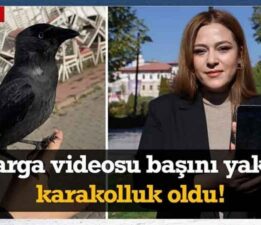 Karga videosu sosyal medyada viral olmuştu! O video başını yaktı, karakolluk oldu