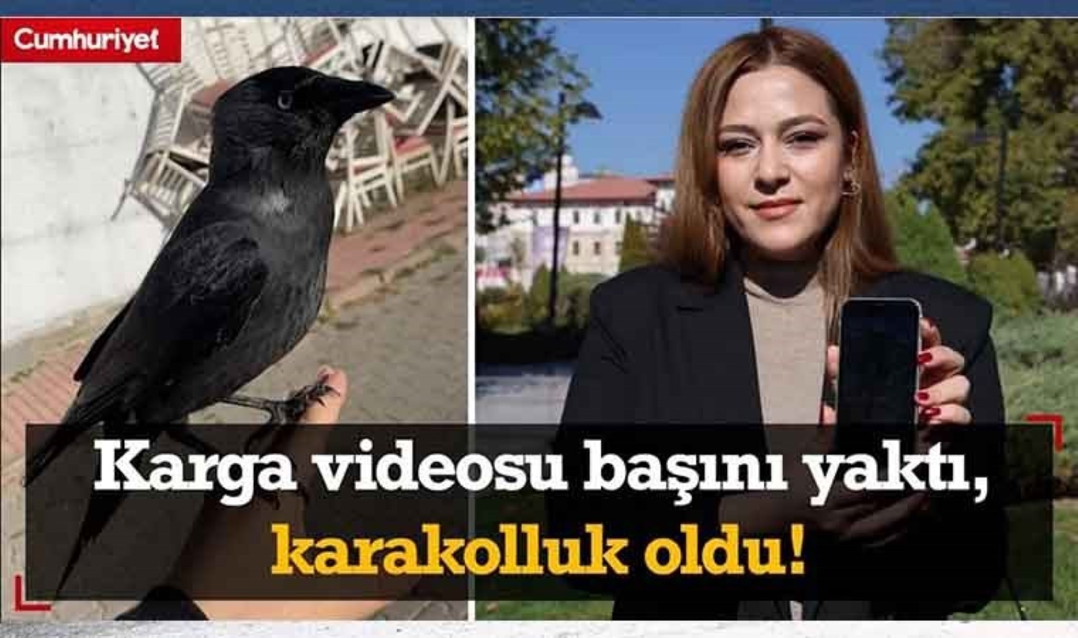 Karga videosu sosyal medyada viral olmuştu! O video başını yaktı, karakolluk oldu