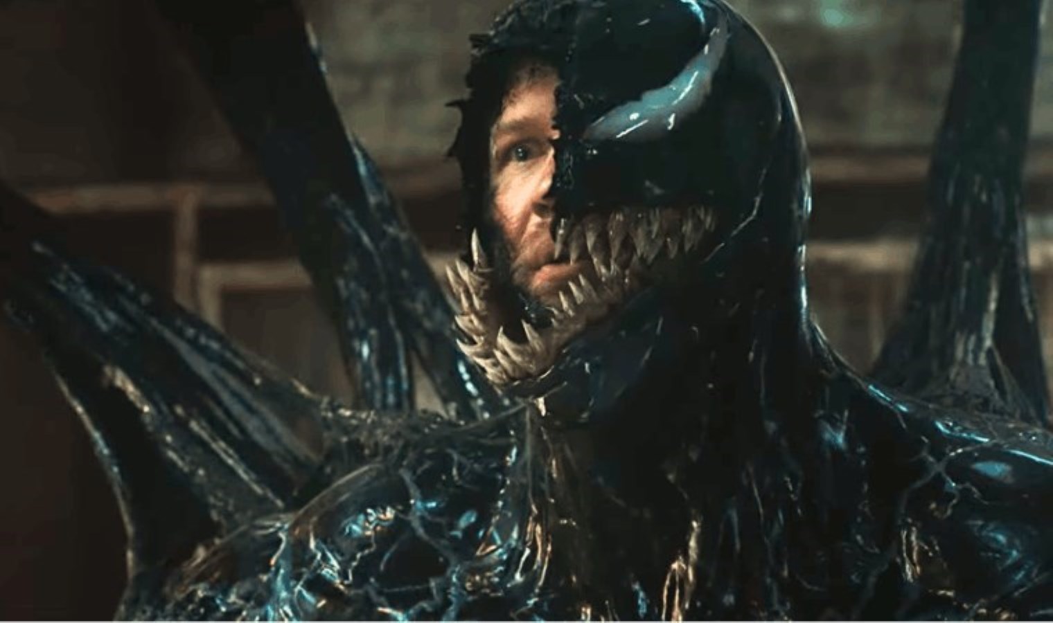 Venom, Bir Cumhuriyet Şarkısı, Köprü ve daha fazlası… İşte bu haftanın filmleri!