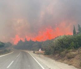 Yangın riski gerekçe gösterildi: 30 Kasım’a kadar ormanlara giriş yasak