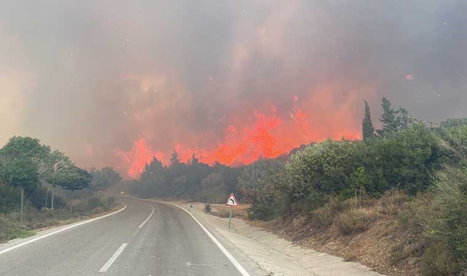 Yangın riski gerekçe gösterildi: 30 Kasım’a kadar ormanlara giriş yasak