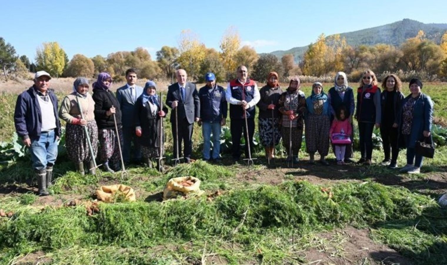 Acıpayam’da hasat başladı: Dekar başına verim 6 ton…