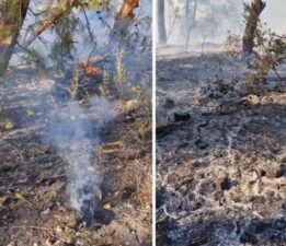 Antalya’da hava aracı ormanlık alana düşmüştü… Görgü tanıkları konuştu: ‘Patlama çok büyüktü’