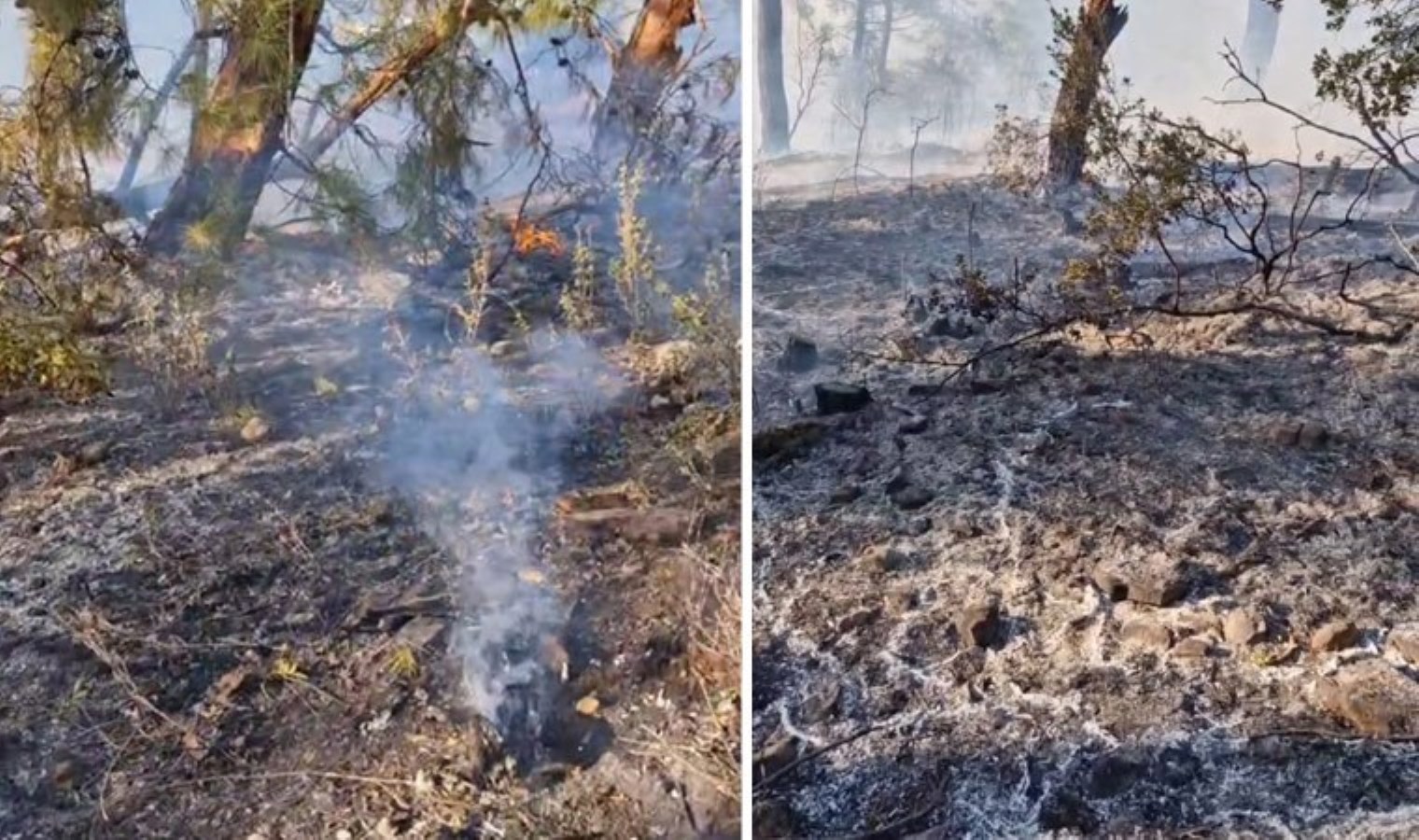 Antalya’da hava aracı ormanlık alana düşmüştü… Görgü tanıkları konuştu: ‘Patlama çok büyüktü’