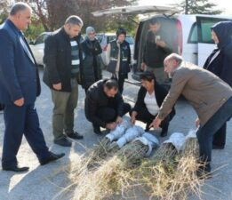 Asya’ya özgü lezzet Erzincan Ovası’nda yetiştirilecek! Alternatif tıpta önemli bir yer sahip…