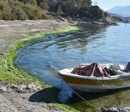 Bafa Gölü’nde korkutan hareketlilik: TBMM heyetinden inceleme