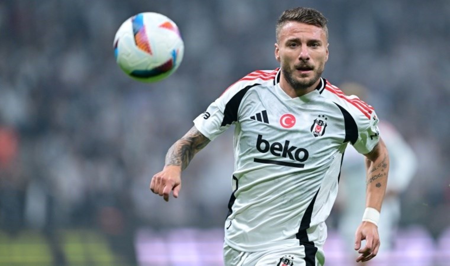 Beşiktaş açıkladı: Ciro Immobile’nin sakatlığı belli oldu!