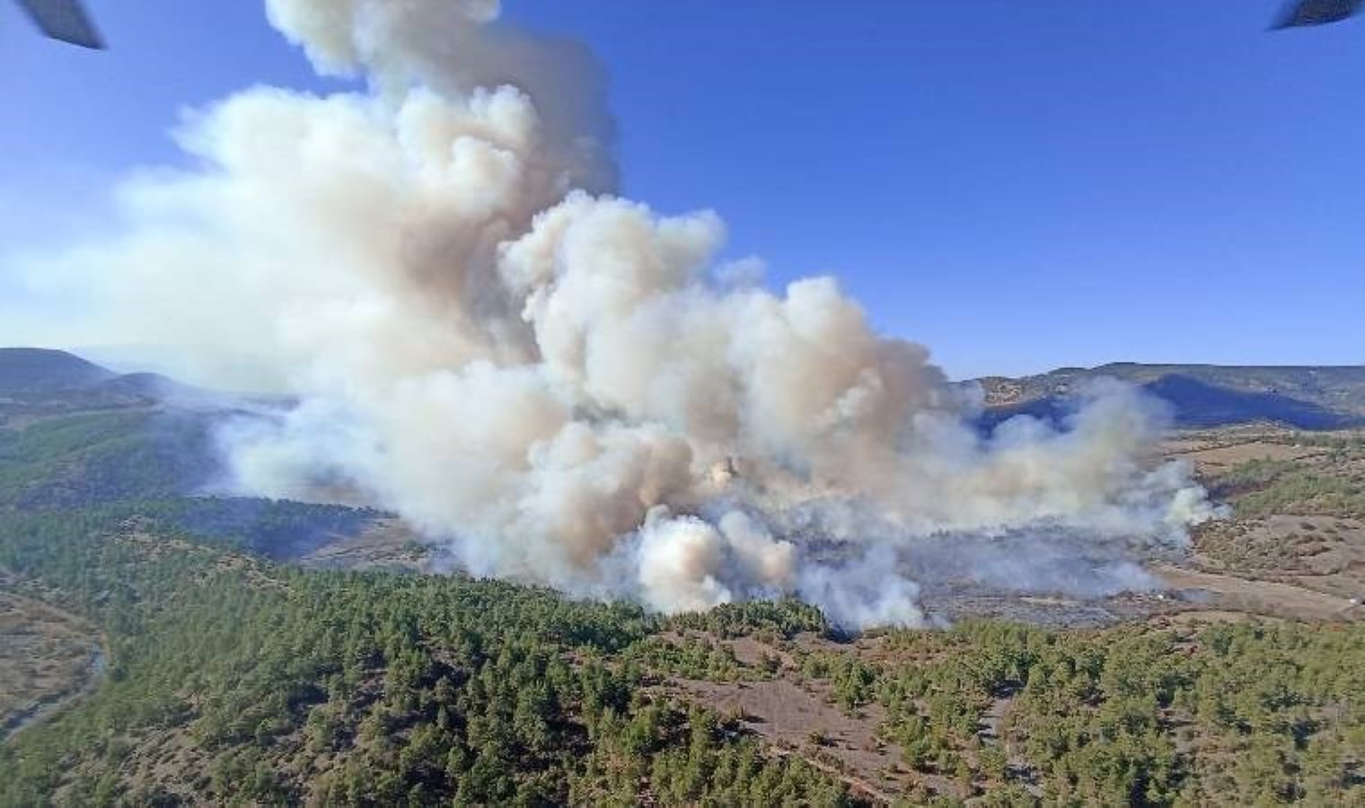 Bursa’nın iki ilçesinde orman yangını çıktı!