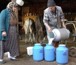 Çiğ süt fiyatlarının yedi aydır güncellenmemesi üreticiyi zor duruma soktu