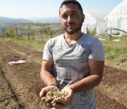 Çocukken yaylalarda topluyordu, şimdi yetiştiricisi oldu! 800 bin lira gelir elde ediyor