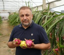 İnternetten gördü, yetiştirmeye başladı! Taleplere yetişemiyor! Yılda 5 kez hasat ediliyor…