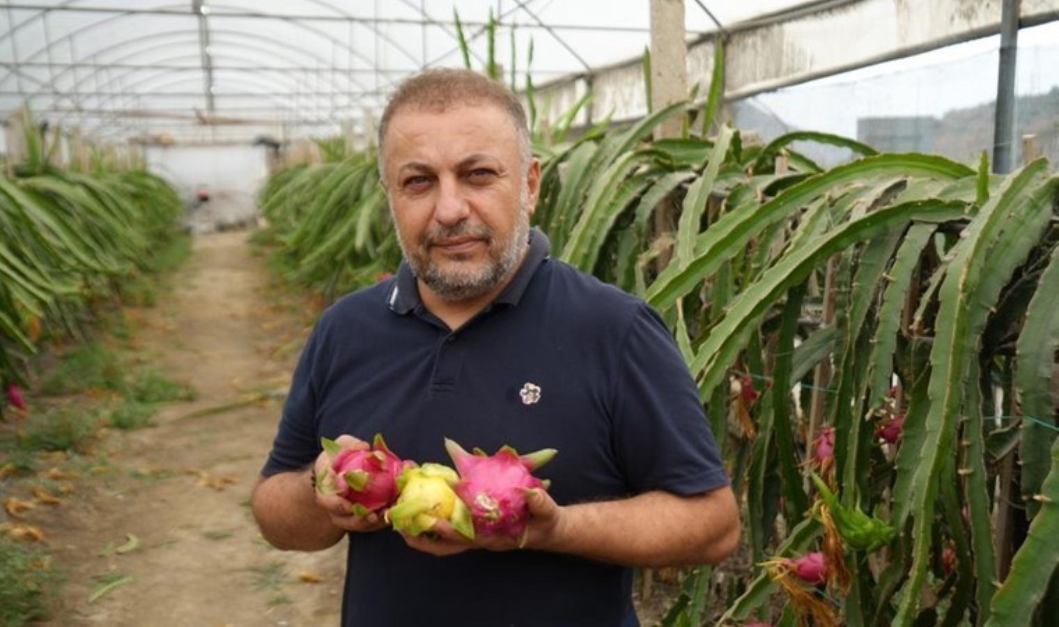 İnternetten gördü, yetiştirmeye başladı! Taleplere yetişemiyor! Yılda 5 kez hasat ediliyor…