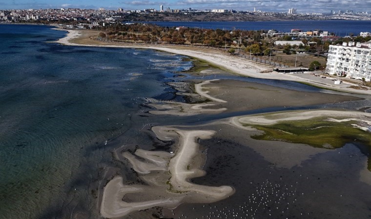 İstanbul’da tedirgin eden görüntü! Deniz suyu çekildi: ‘Hiçbir yıl bu kadar fazla olmamıştı…’