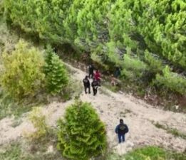 Kayıp iş insanı ormanda ölü bulundu: Katili en yakını çıktı!