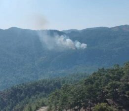 Muğla’da orman yangını: Havadan ve karadan müdahale!