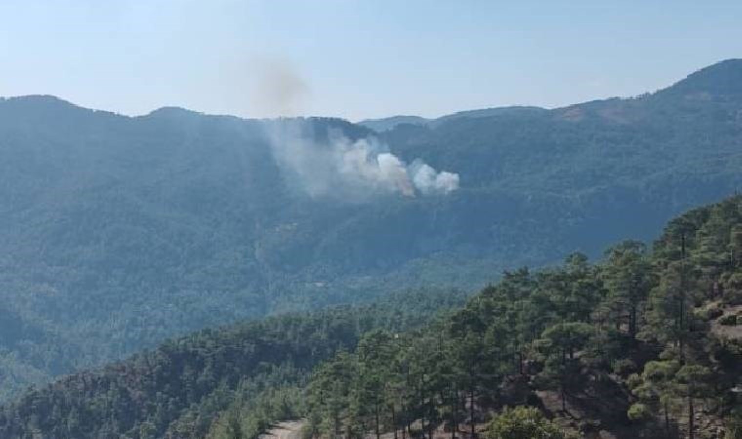 Muğla’da orman yangını: Havadan ve karadan müdahale!