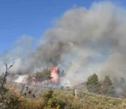 Muğla’da orman yangını: Söndürme çalışmaları sürüyor