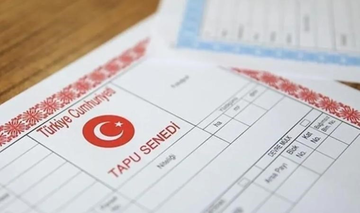 Sahte tapu belgesiyle dolandırıcılık yapan 11 şüpheliden 9’u tutuklandı