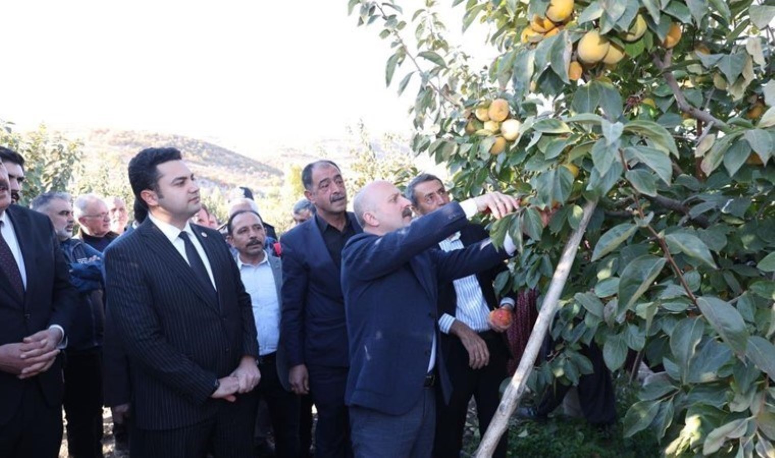 Adıyaman’da hasat başladı! Üretimde üçüncü sırada: Tarlada 15 TL