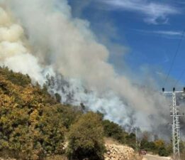 Antalya’da orman yangını: Ekipler müdahale ediyor!