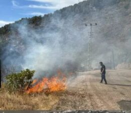 Antalya’da orman yangını kontrol altına alındı