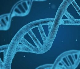 Türklerin genetik kodları ortaya çıktı! 81 şehirden 4 bin kişinin DNA’sı incelendi