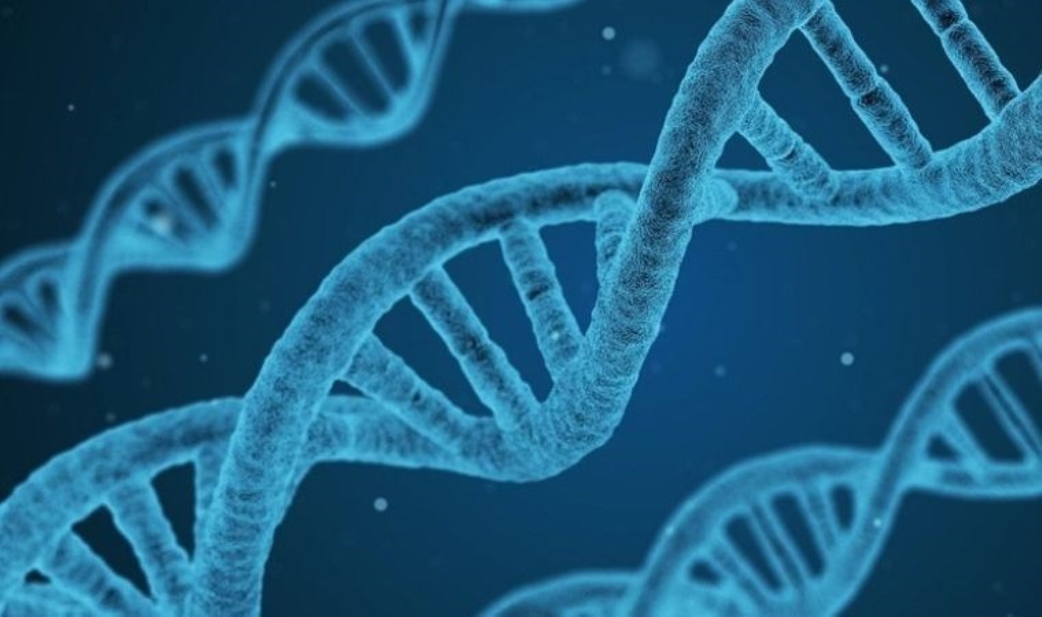 Türklerin genetik kodları ortaya çıktı! 81 şehirden 4 bin kişinin DNA’sı incelendi